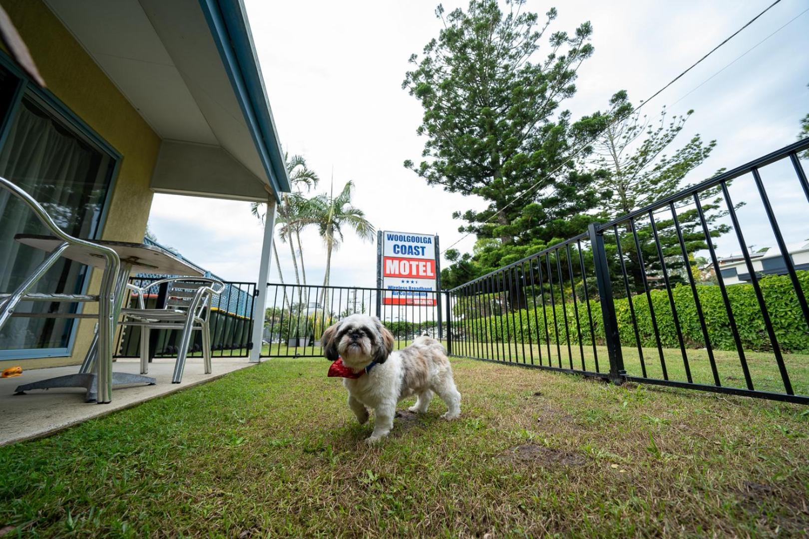 Woolgoolga Coast Motel Pokój zdjęcie